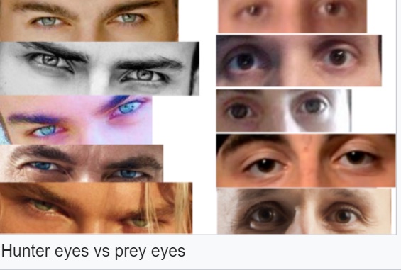 Глаза охотника и глаза жертвы